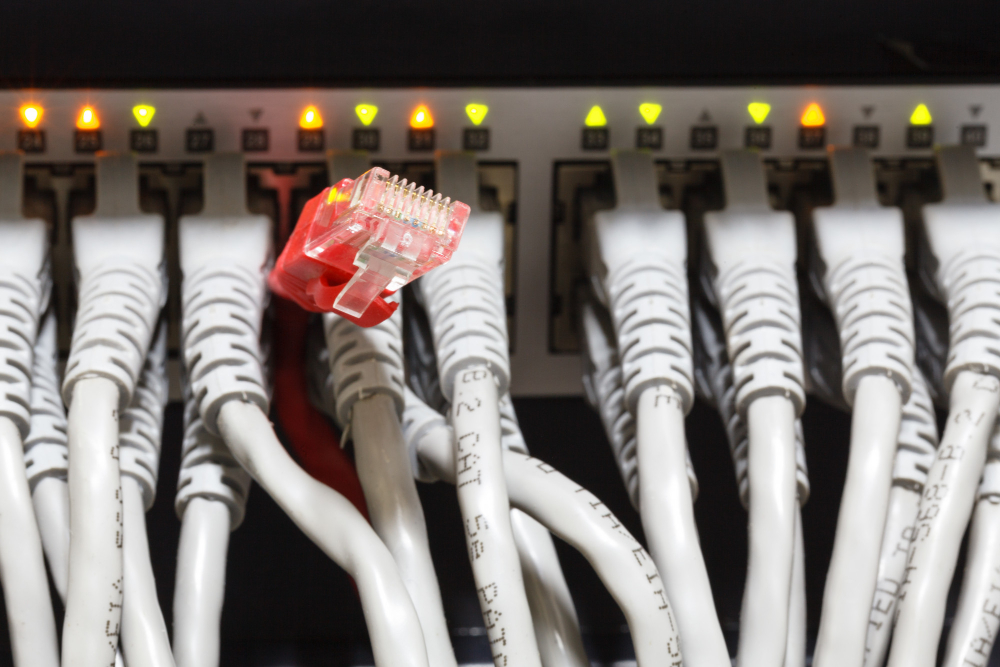 cat 6 network cable