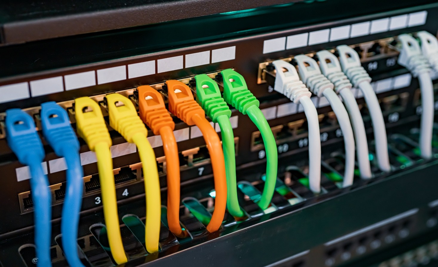 Networking cable harness