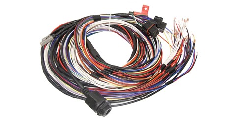 Wiring Loom