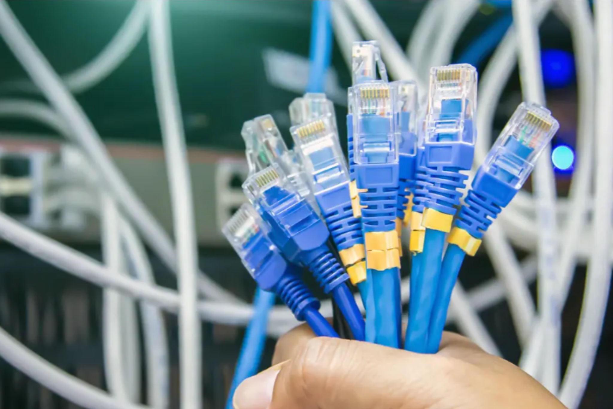 Networking cable harness